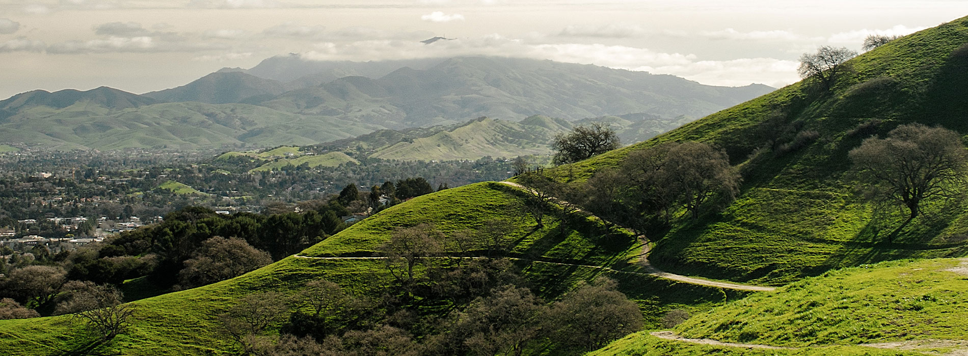 The image shows a serene landscape featuring a green hillside with rolling terrain and a clear sky above.